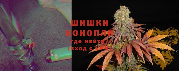 эйфоретик Аркадак