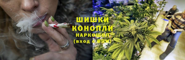 молекула духа Балахна