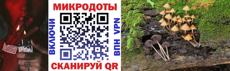 Псилоцибиновые грибы Psilocybine cubensis  наркошоп  Грязи 